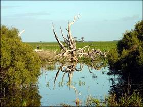 Bool Lagoon Game Reserve And Hacks Lagoon Conservation Park - Accommodation Port Macquarie 0