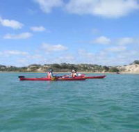 Earth Adventure - Accommodation Port Macquarie