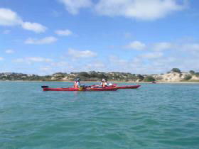 Earth Adventure - Accommodation Port Macquarie 0