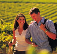 Tinlins Wines Pty Ltd - Accommodation Port Macquarie