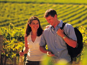 Shakespeare Avenue Pty Ltd - Accommodation Port Macquarie 0