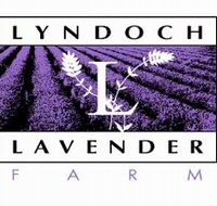 Lyndoch Lavender Farm and Cafe - Accommodation Port Macquarie