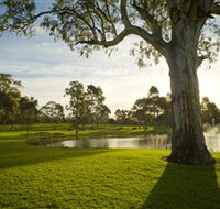 Serafino Wines - Accommodation Port Macquarie
