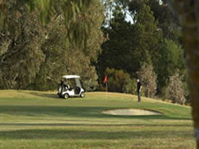Barossa Valley Golf Club Incorporated - Accommodation Port Macquarie 0