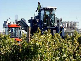 Ballast Stone Estate Wines Pty Ltd - Accommodation Port Macquarie 0