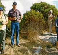 Coobowie Bird Hide - Accommodation Port Macquarie