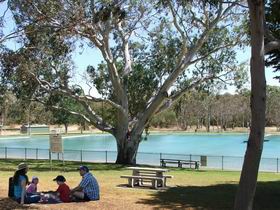 Naracoorte Nature Park And Swimming Lake - Accommodation Port Macquarie 0