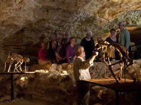 Naracoorte Caves National Park - Accommodation Port Macquarie 0