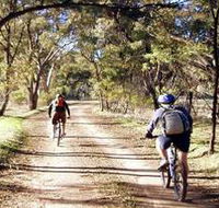 Bike About Mountain Bike Tours And Hire - Accommodation Port Macquarie