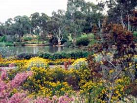 Wittunga Botanic Garden - Accommodation Port Macquarie 0
