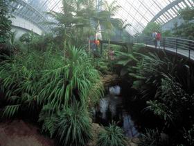 Bicentennial Conservatory - Accommodation Port Macquarie 0