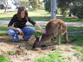 Pendleton Farmstay - Accommodation Port Macquarie 0