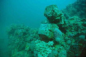 Adelaide's Underwater Heritage Trail - Accommodation Port Macquarie 0