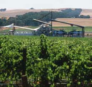 Kirrihill Wines - Accommodation Port Macquarie
