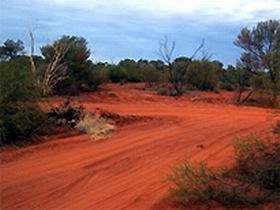 Tallaringa Conservation Park - Accommodation Port Macquarie 0