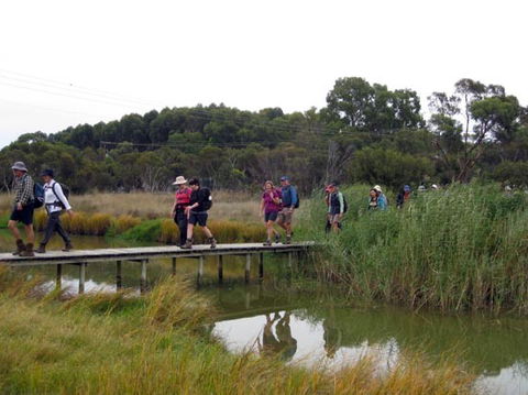 Lavender Federation Trail - Accommodation Port Macquarie 1