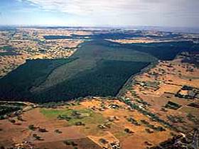 Mount Crawford Forest Reserve - Accommodation Port Macquarie 0