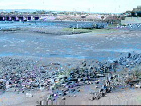 Jervois Basin Ships' Graveyard - Accommodation Port Macquarie 0
