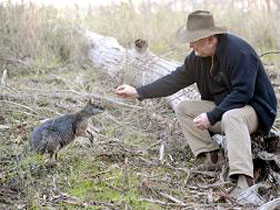Sinclair's Gully - Accommodation Port Macquarie 0