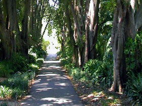 Adelaide Botanic Garden - Accommodation Port Macquarie 0
