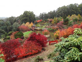 Emu Valley Rhododendron Garden - Accommodation Port Macquarie 0