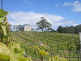 Bruny Island Premium Wines Bar And Grill - Accommodation Port Macquarie 0