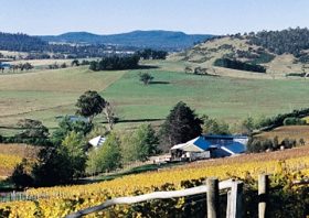 Freycinet Vineyards Pty Ltd - Accommodation Port Macquarie 0