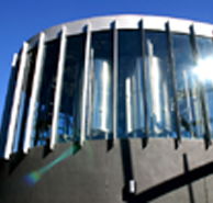 Moo Brew - Accommodation Port Macquarie