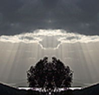 aart. Gallery of Fine Art - Accommodation Port Macquarie