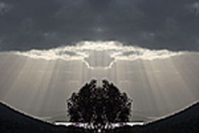 Aart. Gallery Of Fine Art - Accommodation Port Macquarie 0