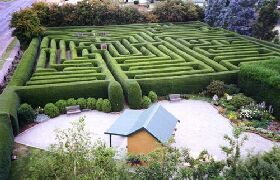Westbury Maze And Tea Room - Accommodation Port Macquarie 0