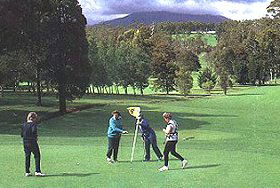 Deloraine Golf Course - Accommodation Port Macquarie 0