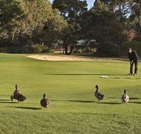 Royal Hobart Golf Club - Accommodation Port Macquarie
