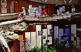 West Coast Visitor Information And Booking Centre - Accommodation Port Macquarie 0