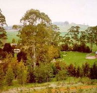 The Tasmanian Arboretum - Accommodation Port Macquarie