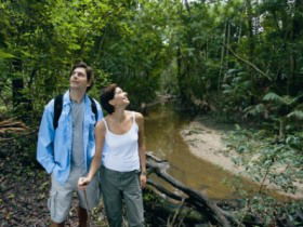 Mooloolah River National Park, Jowarra Section - Accommodation Port Macquarie 0