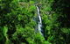 Kondalilla National Park - thumb 0