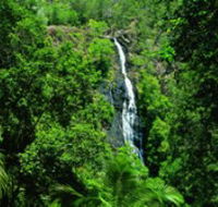 Kondalilla National Park - Accommodation Port Macquarie
