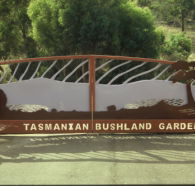 Tasmanian Bushland Garden - Accommodation Port Macquarie
