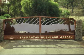 Tasmanian Bushland Garden - Accommodation Port Macquarie 0