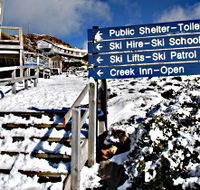 Ben Lomond National Park - Accommodation Port Macquarie