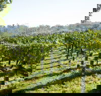 Surveyor's Hill Vineyards - Accommodation Port Macquarie