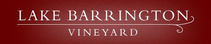 Lake Barrington Estate Vineyard - Accommodation Port Macquarie 0