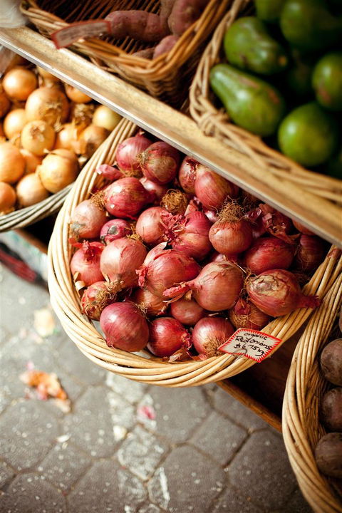 Salamanca Market - Accommodation Port Macquarie 3