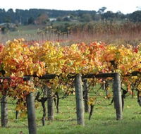 Apsley Gorge Vineyard - Accommodation Port Macquarie