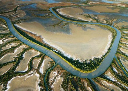 The Wilderness Gallery - Accommodation Port Macquarie 0