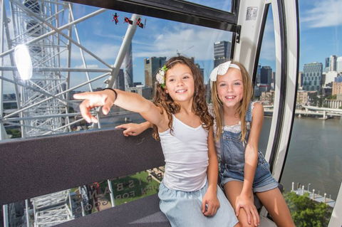 The Wheel Of Brisbane - Accommodation Port Macquarie 4