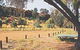 Native Gap Conservation Reserve - thumb 0