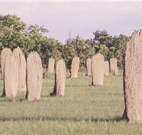 Magnetic Termite Mounds - Accommodation Port Macquarie
