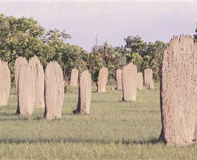 Magnetic Termite Mounds - Accommodation Port Macquarie 0